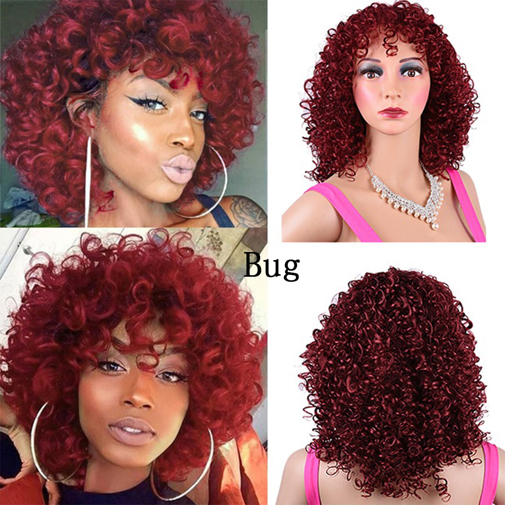 Synthetic Afro Curly Wig