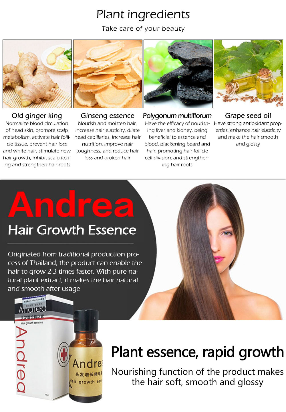 Andrea Hairstyle Hair Care