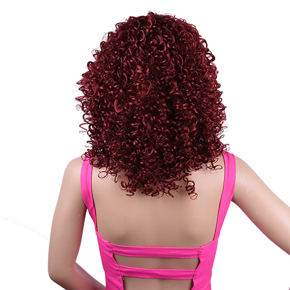 Synthetic Afro Curly Wig