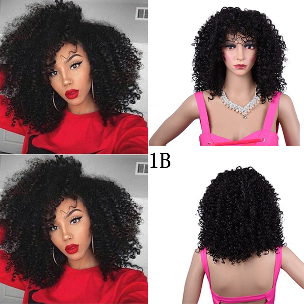 Synthetic Afro Curly Wig